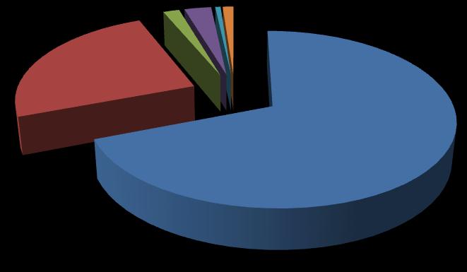 6. Rodzinne Domy Dziecka 2 172 Razem: 3 rodziny zastępcze powtarzają się w różnych formach pieczy zastępczej Graficzne przedstawienie form pieczy zastępczej w powiecie radomszczańskim w 2016r.