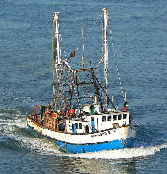 Kutry i łodzie rybackie-rybołówstwo pełnomorskie Uprawiane przez duże kutry, 17 i 25-metrowe,