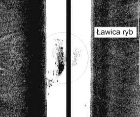 odniesienia przy określaniu ich pozycji. Impuls nadawczy to bardzo silny sygnał generujący na sonogramie 3 ciągłą linię (linia zerowa).