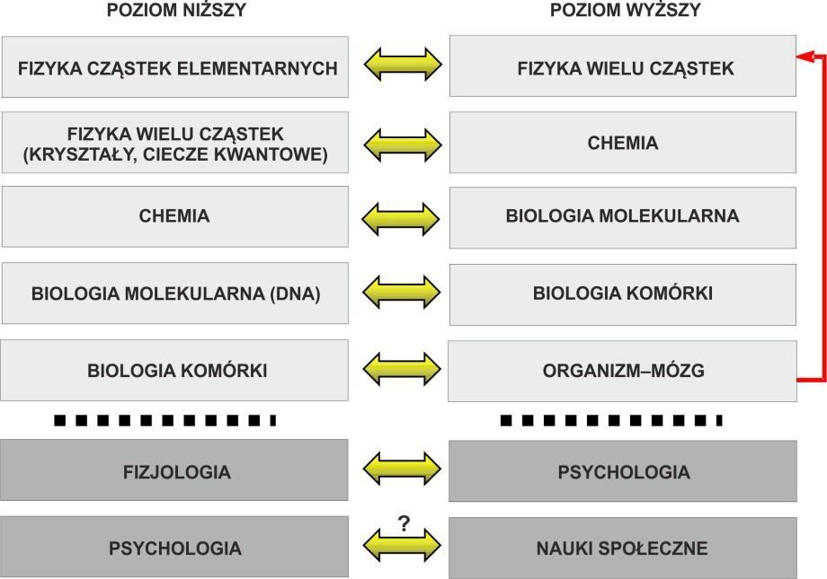 FOTON 130, Jesień 2015 5 Na podstawie pojawienia się cech emergentnych przy wzroście złożoności układu laureat Nagrody Nobla Philip W.