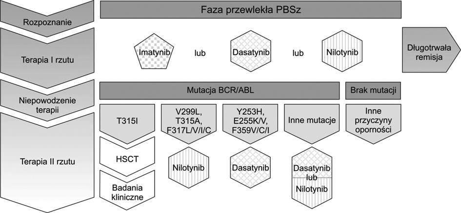 251 Ryc. 2. Alternatywne scenariusze w terapii PBSz Fig. 2. Various scenarios in CML therapy zależne od BCR/ABL.