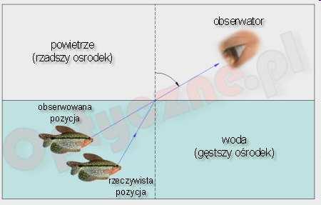 Konstrukcja krzemowego ogniwa słonecznego z uwzględnieniem warstwy ARC Warstwa antyrefleksyjna cienka warstwa o grubości kilkudziesięciu nanometrów, służąca do poprawy wydajności ogniw słonecznych.