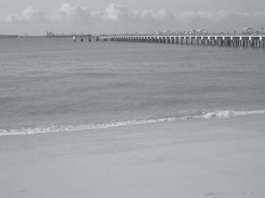 Fotografowanie w trybie programów tematycznych Q g Plaża/śnieg Służy do rejestrowania jasnych obiektów, takich jak zaśnieżone pola, słoneczne plaże lub odbłyski światła na wodzie.