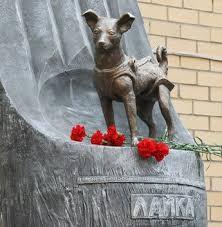 W kwietniu 2008 roku Łajka została uhonorowana dwumetrowym pomnikiem