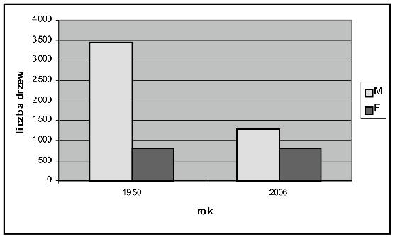 Ryc. 4. Struktura płci populacji cisa w Wierzchlesie w latach 1950 i 2006. Źródło: Opracowanie własne.