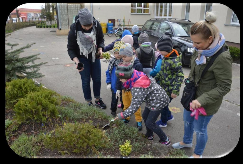 nasze rabaty kwiatowe i