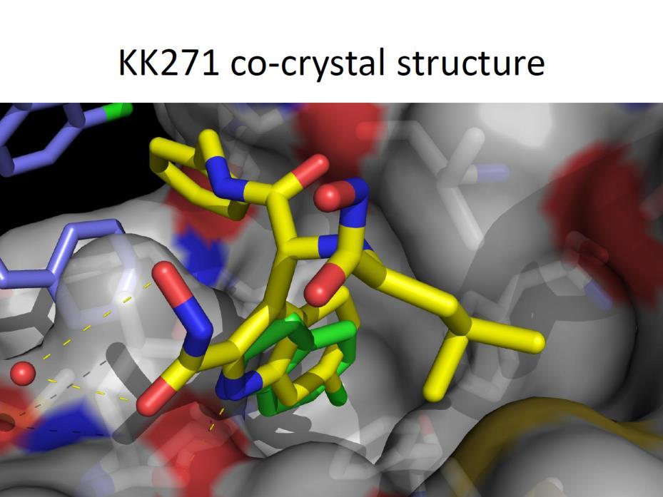 Przykłady one-pot syntezy inhibitorów MDM2-p53 w oparciu o reakcję