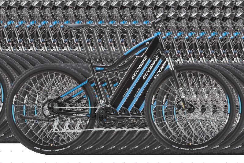 10 Schwalbe Smart Sam 24-biegowa Shimano Acera widelec SunTour XCM hydrauliczne Shimano BL-M396(L) BR-M395L(F) 80- owanie 374-576 Wh <50 db do 34 km/h 23,5 kg (aluminium) panel LCD C300-6