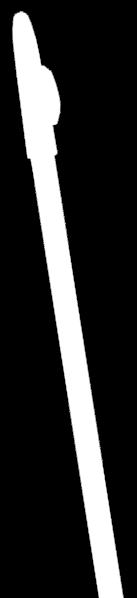 Glycerides, Hydrogenated Palm Glycerides, Paraffinum Liquidum, PVP/Hexadecene Copolymer, Tocopheryl Acetate,