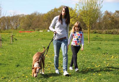 POMAGAMY WSZYSTKIM POSTĘPOWAĆ UWAGA Z PSEM! Organizacja Dogs Trust oferuje BEZPŁATNE kursy dla rodziców i dzieci mające na celu zapewnienie bezpieczeństwa dzieciom i psom w domu oraz poza nim.