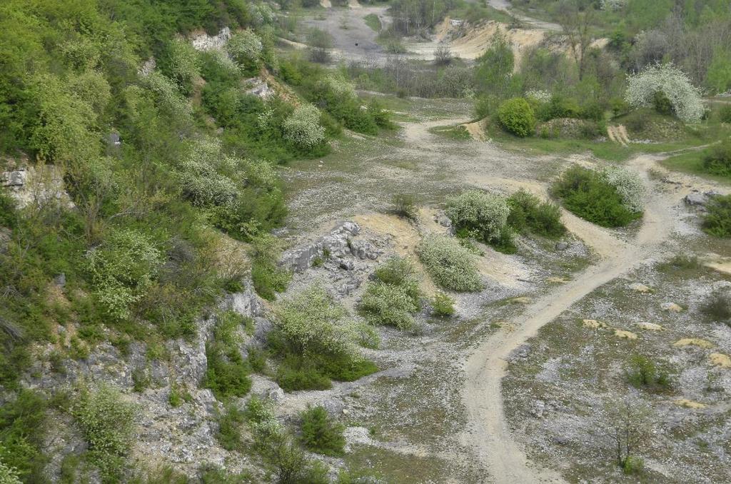 Zagrożenie siedlisk kserotermicznych