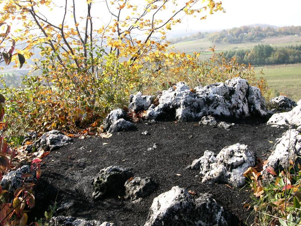 Zagrożenie siedlisk kserotermicznych Palenie