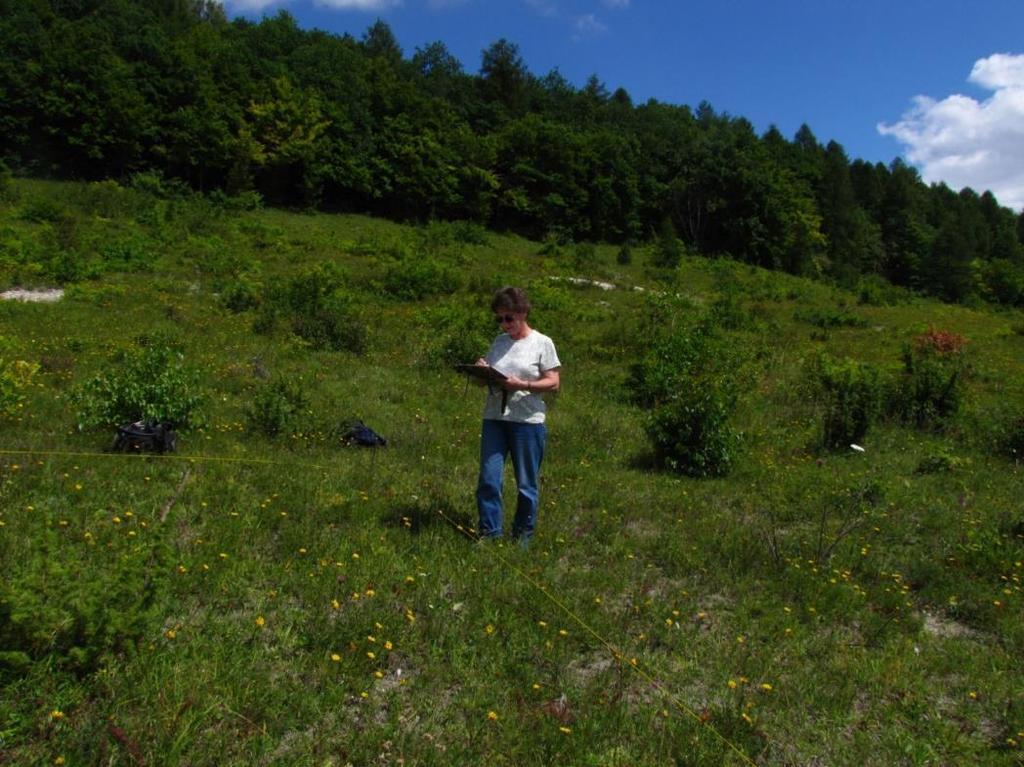 Monitoring efektów