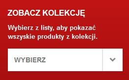 Po wybraniu kategorii, jeśli masz bardzo dokładnie określone wymagania dotyczące dywanu, możesz wyszukiwać przy pomocy