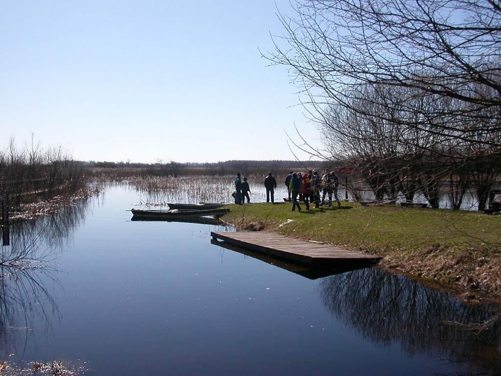 BADANIA HYDROLOGICZNE (Dynamika Zlewni) Jarosław J.