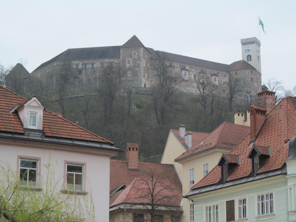 Ljubljanicy w otoczeniu