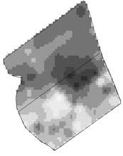określenia dawki azotu na danym obszarze. Na tej podstawie wykonano cyfrowe mapy aplikacyjne (rys. 4), wg których sterowano rozsiewaczem wysiewającym nawóz. a) b) Rys. 3.