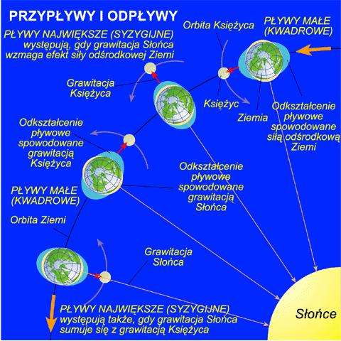 Egzemplarz dzieła Newtona wydanego 5 lipca 1686 roku