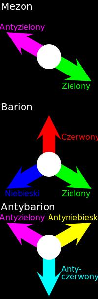 Oddziaływanie silne Wszystkie podstawowe cząstki czyli kwarki, antykwarki, gluony oddziałują na siebie wzajemnie wiążąc hadrony (np. protony, neutrony).