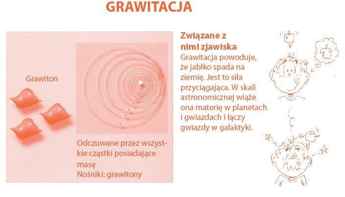 Model Standardowy oddziaływań fundamentalnych