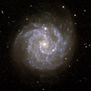 Galaktyki spiralne NGC 3184 - galaktyka spiralna, w środku zdjęcia jądro galaktyki, wokół niego spiralnie ułożone ramiona.