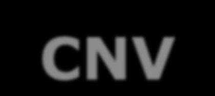 CNV- Copy Number Variations
