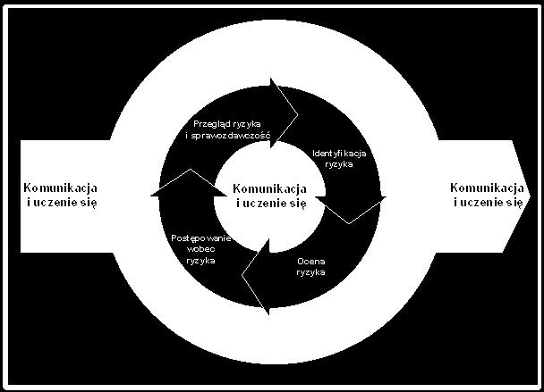 (Risk improving government s capability to handle risk and uncertainty).