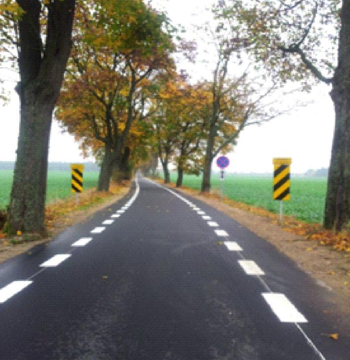 chojnickim), stosowanie lokalnych ograniczeń prędkości (70 lub 50 km/h), specjalne oznakowanie najmniej skuteczne (fot. 4).