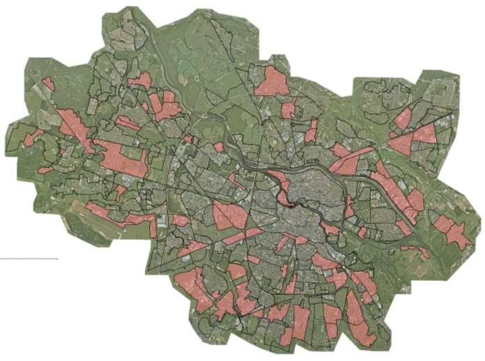 DO ROZWINIĘCIA Jednostki o niekompletnym, często zaburzonym tworzywie, jednak posiadające wykształconą silną determinantę kompozycyjną.