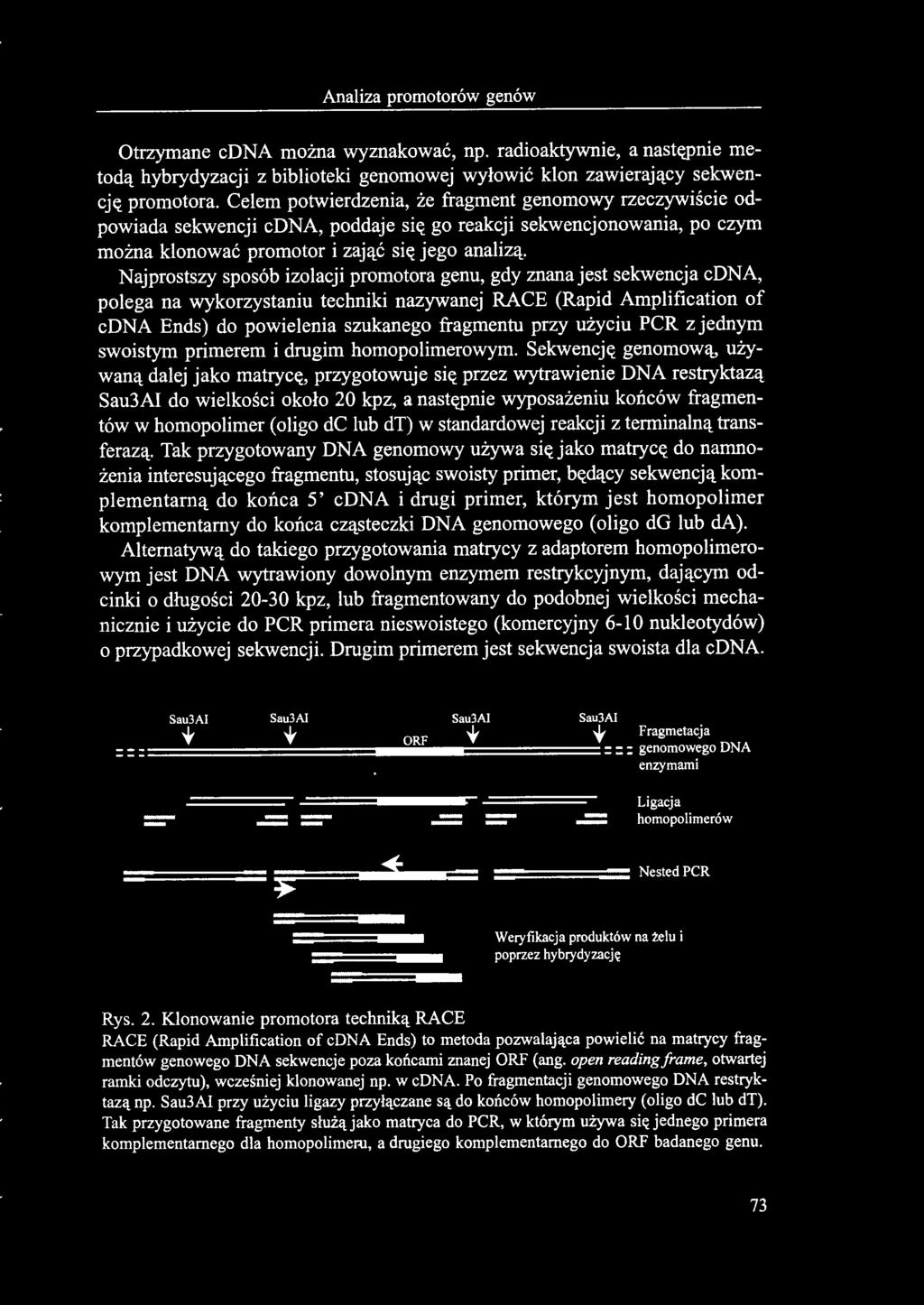 Najprostszy sposób izolacji promotora genu, gdy znana jest sekwencja cdna, polega na wykorzystaniu techniki nazywanej RACE (Rapid Amplification of cdna Ends) do powielenia szukanego fragmentu przy