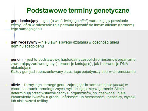 Średnia wielkość genu określana jest na kilkanaście tysięcy par zasad z dużymi różnicami między poszczególnymi genami, których rozmiar może wahać się od kilkuset do kilku milionów par zasad.