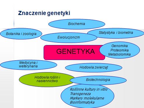 Znaczenie genetyki systematycznie rośnie. Człowiek już od bardzo dawna stosuje różne i celowe zabiegi zmierzające do uzyskania użytecznych żywych organizmów lub produktów z nich pochodzących.