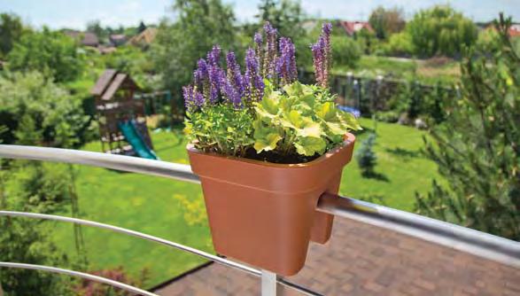 DOM I OGRÓD / SKRZYNKI BALKONOWE / HOUSE AND GARDEN / BALCONY TROUGHS / LOBELIA DONICA BALUSTRADOWA /