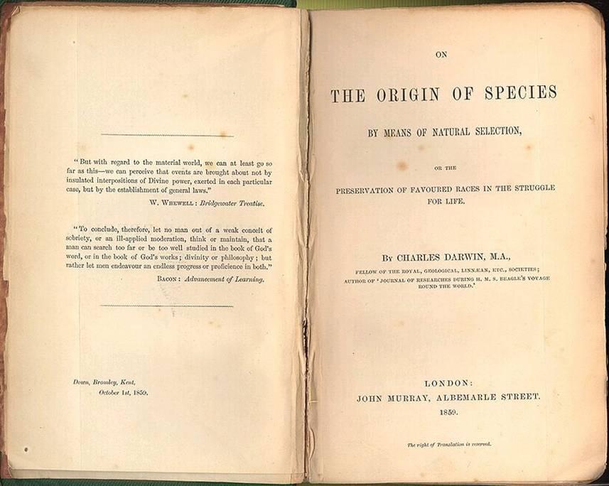 Publikacja: 1859 Co wyróżniało O powstawaniu gatunków? 1. Racjonalny opis bez odwołań do teleologii (brak imperatywu dążenia do doskonałości) 2.