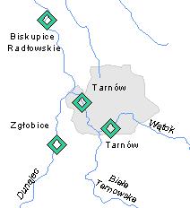 12 Informacja o stanie środowiska w 2008 roku Miasto Tarnów Tab. Poziomy docelowe stężeń substancji w powietrzu Lp.