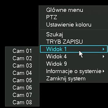 Zmiana podglądu na jedną wybraną kamerę. 3.3.12 Szybkie menu Widok 4 