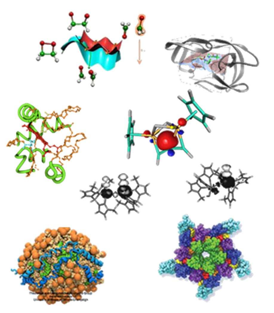 Oprogramowanie Chemia i Biologia: ADF, AMBER, CFOUR, Dalton, GAMESS, Gaussian, Molcas, Molpro, MOPAC, NWChem, TURBOMOLE, Jaguar, LAMMPS, AutoDock/AutoGrid, BLAST, Clustal, Siesta, Quantum Espresso,