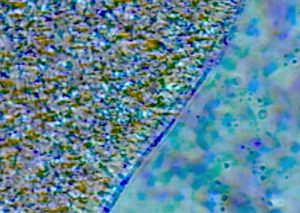 1985 Sov. Phys. Usp. 28, 535-562] Fig. 16. Blue phase texture (142 ) (on cooling rate 0.2 C/min) [11]. To compare texture of blue phase presented in literature is shown (right side) [A.