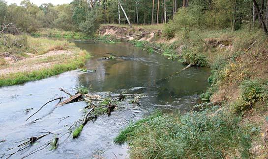 Tabela 1. Przykład opisu warunków referencyjnych dla pojedynczego typu cieku Table 1. Example of description reference conditions for particular surface water body type 20.