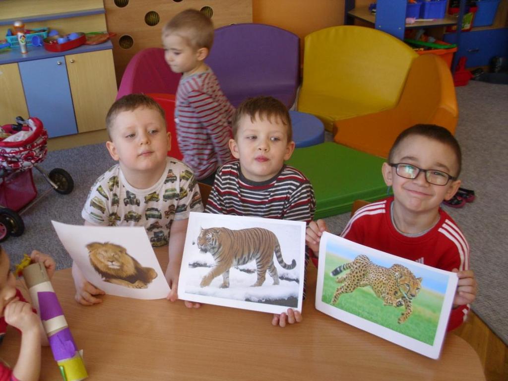 Okazało się, że każdy z tych dzikich kotów jest wyjątkowy.