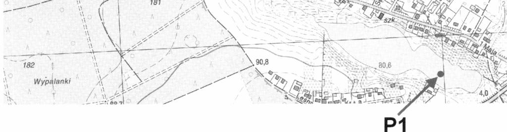 1, Table 1). The southern basin (further called basin I), situated beside a road, is the most strongly affected by human activity and has the poorest vegetation.