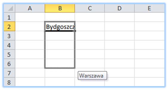 Trik 24. Przenoszenie formatu z komórki na komórkę Jeżeli chcesz zachować spójny wygląd swoich zestawień i raportów, odpowiednie grupy komórek powinny mieć takie samo formatowanie.