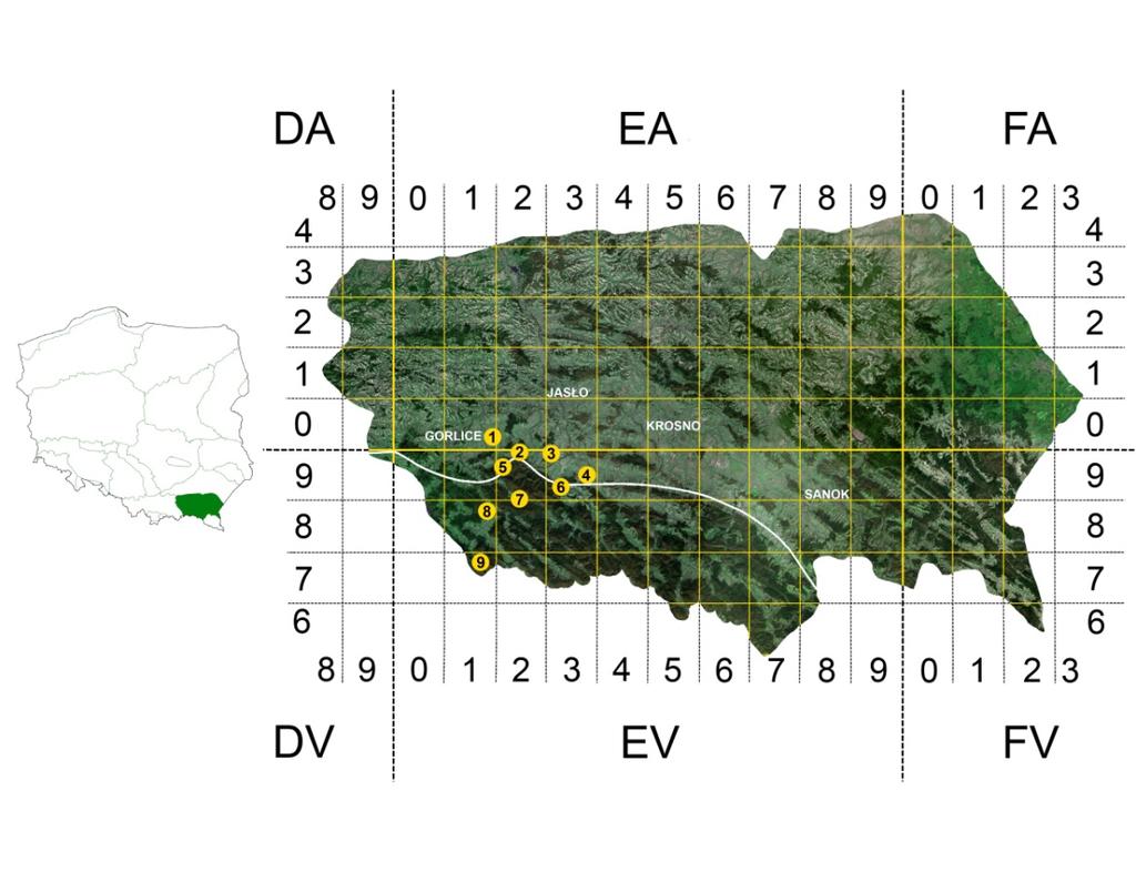 8 L. Karpiński, A. Taszakowski and W. T. Szczepański Poland referring our data to Eastern Beskid Mountains, but additionaly we distinguished in it the area of the Low Beskids.