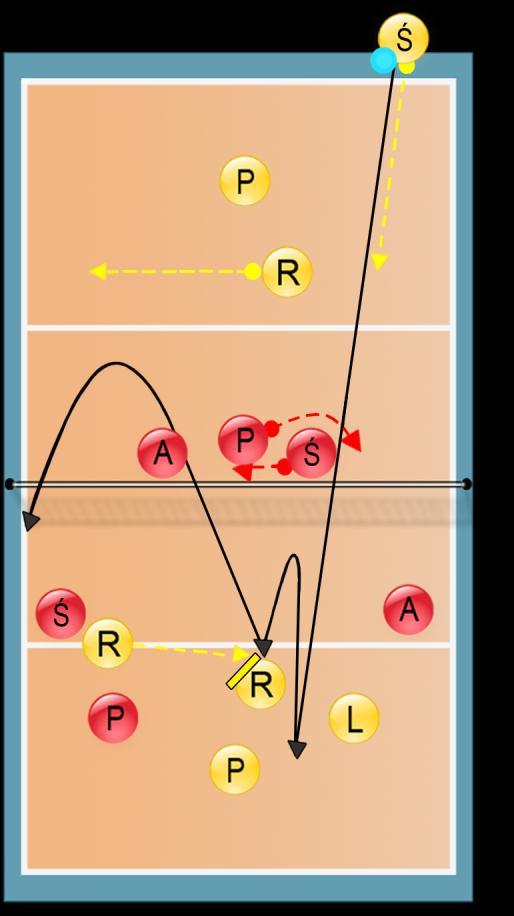 3. Wystawa P, A, Ś, R, L wystawa