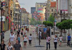 ARKADY WROCŁAWSKIE EKSPOZYCJE STRONA 2 POWIERZCHNIA NA