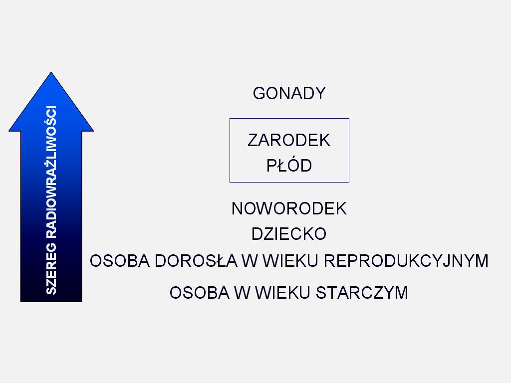 za gonadami. Oznacza to zwiększoną odpowiedź takich układów biologicznych już na stosunkowo niskie dawki promieniowania jonizującego.