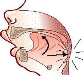 Problemy i ich przyczyny 1. Często niewielkie doświadczenie w intubacji noworodków i niemowląt. 2. Różnice anatomiczne odpowiednie do wieku. 3.