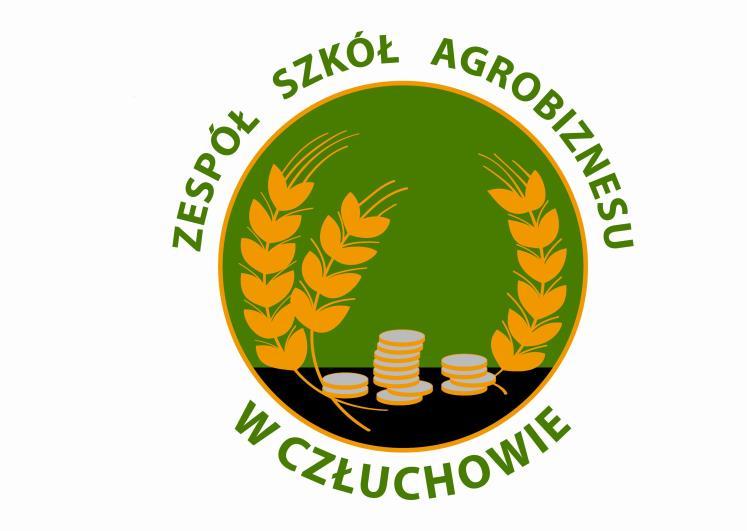 DZIENNICZEK PRAKTYKI ZAWODOWEJ ul. Parkowa 2, 77-300 Człuchów tel./fax 598342507 zsa@zsa.czluchow.pl www.zsa-czluchow.