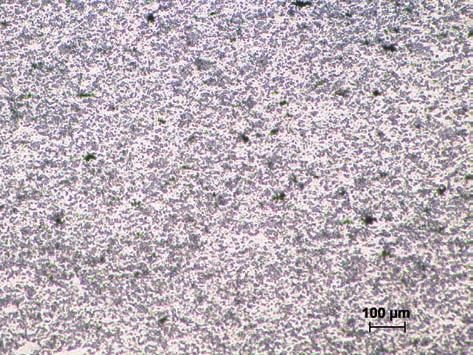 teoretyczna γ 3 γ /γ 0 0 % g/cm 3 Twardość HV10 Ag70WC29,5C0,5 MK 8,52 8,51 10,87 11,39 95,4 87,6 Ag70WC29,5C0,5 MS 8,54 8,67 10,88 11,39 95,5 91,6 Ag70W29,5C0,5 MK 9,33 9,88 11,86 11,88 99,8 95,8