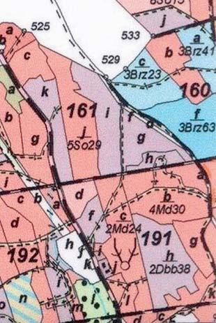 Extract from the Forest Management Plan in FD Bogdaniec, a division of 191 b; data from 2009 in Łupowo Forestry Miąższość 325 215 220 145 100 Warstwa Gatunek Udział DRZEW Md 3 Brz 2 Db.